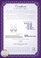 Product certificate: FW-W-AAAA-78-E-Marcia