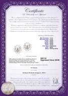 Product certificate: FW-W-AAAA-78-E-Morgan