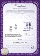 Product certificate: FW-W-AAAA-78-E-Star