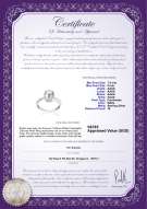 Product certificate: FW-W-AAAA-78-R-Forever