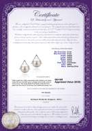 Product certificate: FW-W-AAAA-89-E-Africa