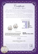 Product certificate: FW-W-AAAA-89-E-Alba