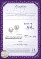 Product certificate: FW-W-AAAA-89-E-Bessie