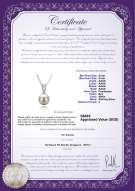 Product certificate: FW-W-AAAA-89-P-Nerea