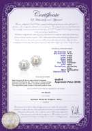 Product certificate: FW-W-AAAA-910-E-Leonie