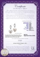 Product certificate: FW-W-AAAA-910-E-Shamara
