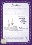 Product certificate: FW-W-AAAA-910-E-Wing