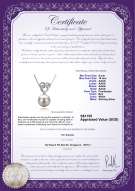 Product certificate: FW-W-AAAA-910-P-Adelina