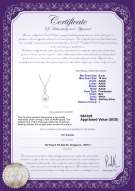 Product certificate: FW-W-AAAA-910-P-Courtney