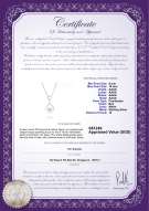 Product certificate: FW-W-AAAA-910-P-Karen