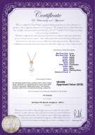 Product certificate: FW-W-AAAA-910-P-Pamela