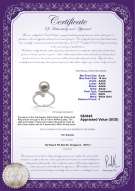 Product certificate: FW-W-AAAA-910-R-Grace
