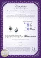 Product certificate: JAK-B-AA-67-E-Sydney