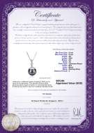 Product certificate: JAK-B-AA-89-P-Ellice