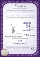 Product certificate: JAK-W-AA-78-P-Randy