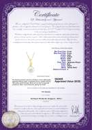 Product certificate: JAK-W-AAA-89-P-Gisela