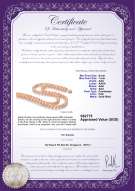 Product certificate: P-AAA-67-N-DBL