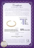 Product certificate: SSEA-G-N-C309