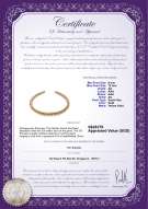 Product certificate: SSEA-G-N-C317