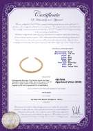 Product certificate: SSEA-G-N-C318