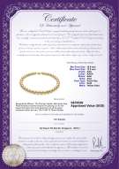 Product certificate: SSEA-G-N-Q213