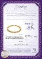 Product certificate: SSEA-G-N-Q215