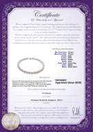 Product certificate: SSEA-W-AAA-1213-N