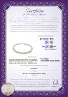 Product certificate: SSEA-W-AAA+-1014-N