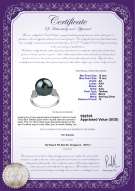 Product certificate: TAH-B-AA-1213-R-Ireland