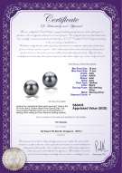 Product certificate: TAH-B-AAA-1011-E-Berry