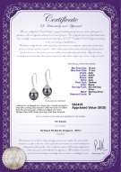 Product certificate: TAH-B-AAA-1011-E-Roxanne