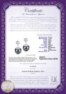 Product certificate: TAH-B-AAA-1011-E-Snow