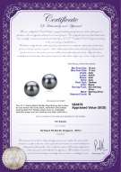 Product certificate: TAH-B-AAA-1011-E-Tammy