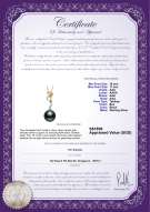 Product certificate: TAH-B-AAA-1011-P-Brianna