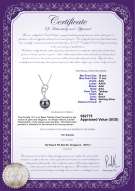 Product certificate: TAH-B-AAA-1011-P-Camille