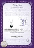 Product certificate: TAH-B-AAA-1011-P-Gabrielle