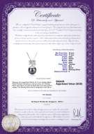 Product certificate: TAH-B-AAA-1011-P-Marte