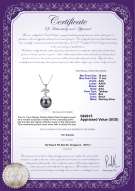 Product certificate: TAH-B-AAA-1011-P-Maude