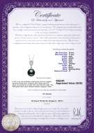 Product certificate: TAH-B-AAA-1011-P-Regina