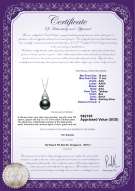 Product certificate: TAH-B-AAA-1011-P-Romola