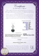 Product certificate: TAH-B-AAA-1011-P-Yael