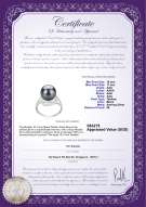 Product certificate: TAH-B-AAA-1011-R-Maddie