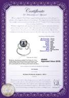 Product certificate: TAH-B-AAA-1011-R-Sheila