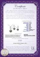 Product certificate: TAH-B-AAA-1012-S-Butterfly