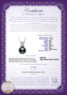 Product certificate: TAH-B-AAA-1213-P-Colette