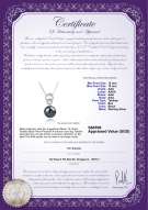 Product certificate: TAH-B-AAA-1213-P-Marlo