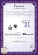 Product certificate: TAH-B-AAA-89-E-Eva