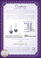 Product certificate: TAH-B-AAA-910-E-Cheryl