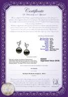 Product certificate: TAH-B-AAA-910-E-Jeannie