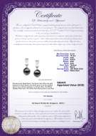 Product certificate: TAH-B-AAA-910-E-Kiyam